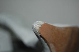 DSC_0580.JPG