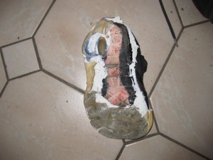 IMG_3434.JPG