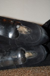 ADSC_0414.JPG