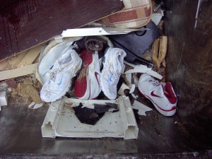 Müll1011 065.jpg (142.43 KiB) 8774 mal betrachtet Dafür, dass die Turnschuhe erst vor etwa einer Minute jäh aus dem Schuhregal im Haus auf die Straße zur Sperrmüllabfuhr gezerrt wurden, zeigen sie sich schon sehr vermüllt.