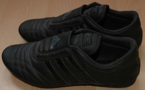 Z5512004.JPG