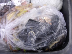 Müll0212 030.jpg (269.18 KiB) 6189 mal betrachtet Ein letzter verschwommener Gruß durch den dreckigen Küchenmüllbeutel.