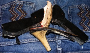 DSCF9022.JPG