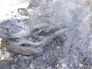 14.jpg (921.74 KiB) 8447 mal betrachtet Nur noch ein Häufchen Elend