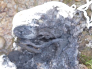 15.jpg (596.92 KiB) 8447 mal betrachtet Ein Brautkleid und ein paar Schuhe. Oder das was davon übrig ist.