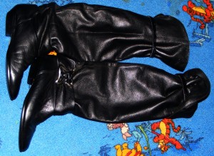 DSCF9188.JPG