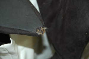 Bild 064.jpg