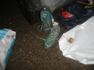 DSC08395_s.jpg (275.89 KiB) 7902 mal betrachtet Ein klassischer Fehleinwurf, den ich ausgenutzt hab. Gr. 37 ... durch Regen etwas feucht geworden und dadurch erst recht den Duft hervorgelockt *gg*