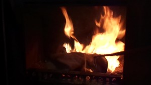 Westernstiefel8.jpg (30.55 KiB) 5125 mal betrachtet Das grenzt ja schon an Arbeitsverweigerung.