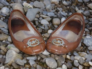 005.jpg (1.18 MiB) 5087 mal betrachtet Das sind die Lieblinge der Besitzerin