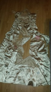 20160425_155449_resized_1.jpg