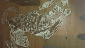 20160425_155828_resized_1.jpg