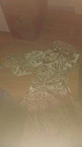 20160425_155903_resized_1.jpg