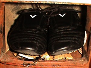 SE55017-104.jpg