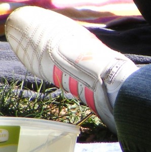 SE5887.JPG