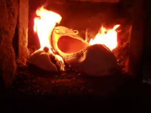 Quelle: Videoschnappschuß Burn2shoes