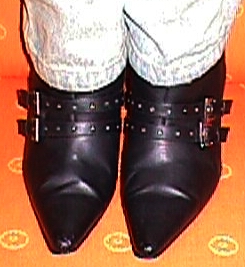 SE3610.jpg