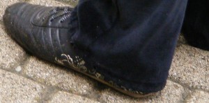 SE7087.JPG