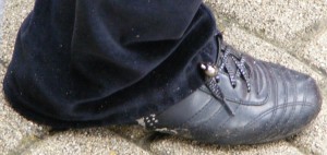 SE7098.JPG