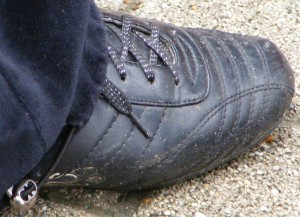 SE7103.JPG