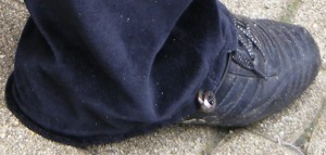SE7107.JPG