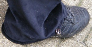 SE7113.JPG
