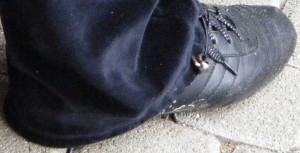 SE7147.JPG