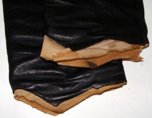DSCF0485.JPG