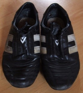 Z5510134.JPG