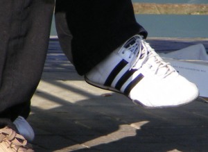 SE8446.jpg