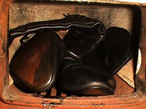 SE75029-21.jpg