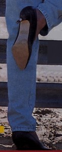 X3090070.JPG