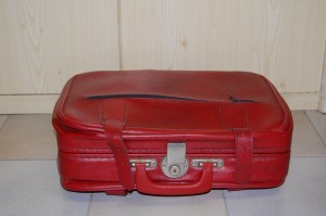 DSC_0905.JPG