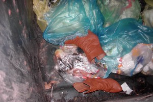 Nach knapp zwei Wochen beim nächsten Müllabfuhrtermin, hätten die nicht mehr so sauber ausgesehen. Platt, verfleckt und vermutlich triefnass in der Müllbrühe hätten die unter Unmassen von Dreck rettungslos verschüttet gelegen.