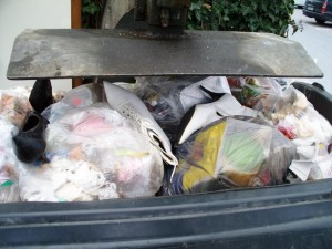 Dieser Müllcontainer-Standplatz ist nicht selten einen kleinen Umweg wert!