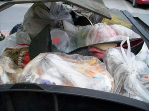 Ein schon fast &quot;intimer&quot; Einblick in einen fremden Müllcontainer.