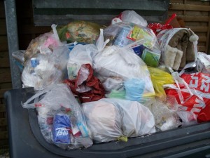 Zuerst war eigentlich nur ein Haufen Hausmüll zu sehen ... .