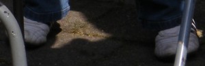 FR3532.JPG