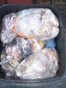 Müll0312 227.jpg (253.59 KiB) 5799 mal betrachtet Für Lenas Pantoletten war es nun auch endlich "Nacht" geworden.