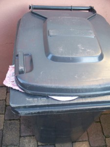 Müll0312 235.jpg (181.88 KiB) 5799 mal betrachtet Bald ist Müllabfuhr!