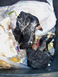 Müll0312 246.jpg (237.44 KiB) 7379 mal betrachtet Was für ein erbärmlicher Anblick!