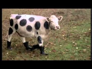 Quelle: Internet-Freibild
