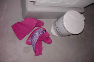 Astrid01 005.jpg (411.59 KiB) 7545 mal betrachtet Und warum standen sie dicht neben dem Mülleimer??