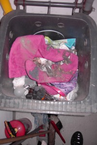 Entsetzt stand ich an der Tonne und blickte auf den "ganzen Dreck".