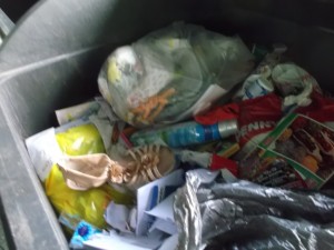 Müll0615 (360).JPG (434.02 KiB) 10497 mal betrachtet Wo ist der andere Schuh in dem vielen Dreck zu finden?!