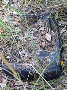 stiefel.jpg