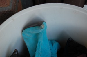 DSC_1149.JPG