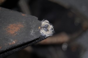 DSC_0867.JPG
