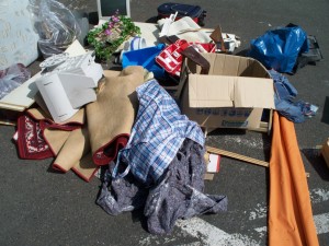 Erst mal ein unscheinbarer Anblick ... .