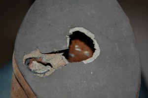 DSC_0525.JPG